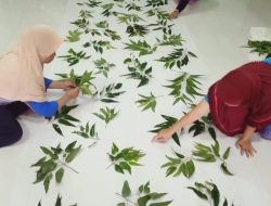 Dari Sehelai Daun Merajut Asa dengan Ecoprint