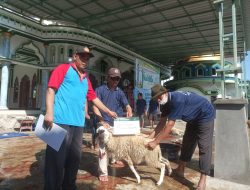 Masjid Baiturrahman Tapen Sembelih Puluhan Hewan Kurban Bantuan dari Baznas
