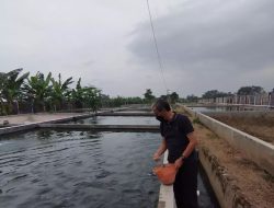Sektor Perikanan Bisa Jadi Alternatif Kelola Sampah