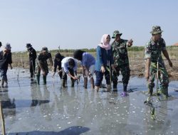 Kodim 0711 Pemalang Gelar Reboisasi untuk Cegah Abrasi