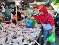 Tingginya Harga Ayam Jadi Penyumbang Inflasi