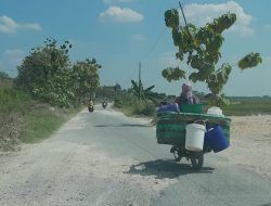 Jalan Sukolilo-Prawoto Masih Rusak Parah