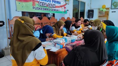 pelayanan kesehatan di Posyandu Prima Desa Galih