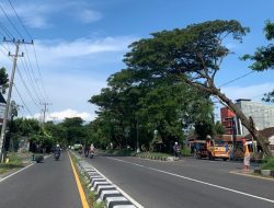 Dishub Sleman Siap Bantu Optimalisasi Perbaikan LPJU