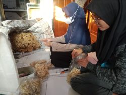 Dampingi UMKM, Mahasiswa KKN MIT-16 Posko 21 UIN Walisongo Lakukan Pendataan Sertifikasi Halal