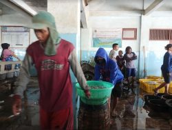 6 Tempat Pelelangan Ikan di Jepara Tinggal Nama