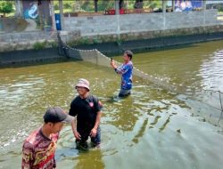 Budidaya Ikan Terkendala Harga Pakan