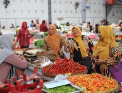 Cuaca Pengaruhi Tingginya Harga Cabai