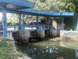 Musim Hujan Berpotensi Sebabkan Penumpukan Sampah di Sungai