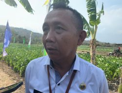 Bantul Bebas Antraks Hingga Akhir Tahun 2024