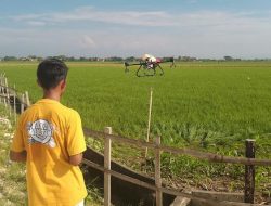 Manfaatkan Drone untuk Penyemprotan Pupuk