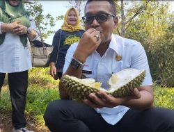 Menikmati Legitnya Durian Kastubi Menawan