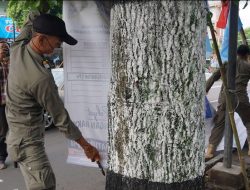 Satpol PP Kota Yogyakarta Tertibkan Ribuan APK
