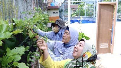 DPP Kota Yogyakarta Targetkan Tambah 5 Kelompok Tani setiap Tahun