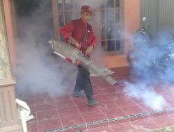 Masyarakat Masih Andalkan Fogging