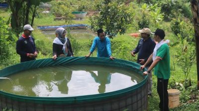 Wujudkan Ketahanan Pangan Lokal Melalui Budidaya Ikan