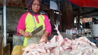 Meroket, Harga Ayam Potong Naik Jadi Rp 50 Ribu/Kg