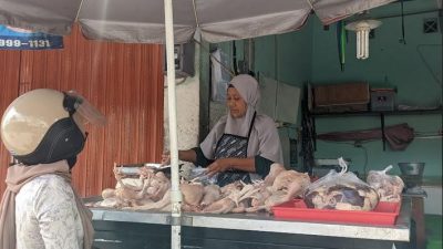 Sepekan Ramadan, Harga Ayam kian Melambung