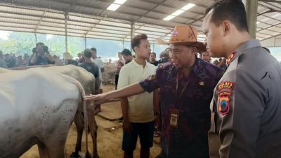 PMK Menggila, Jepara Gencarkan Vaksinasi 25 Ribu Hewan Ternak Jelang Idul Adha