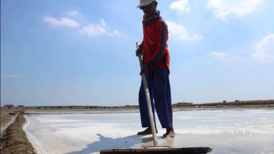 Harga Garam Petani Pati Anjlok, Terjepit di Bawah Seribu Rupiah per Kilogram