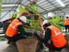 Layanan Sampah TPST Tamanmartani Kembali Dibuka