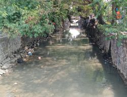 Disperkim Kota Semarang Imbau Warga tak Buang Sampah di Sungai