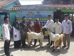 Baznas Rembang Salurkan 20 Kambing di Kecamatan Sumber