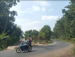 Ratusan Keluarga Hidup di Tengah Alas Lamin