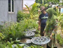 Fokus Bank Sampah dan Budi Daya Tanaman