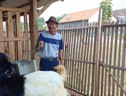 Dintanpan Rembang Prediksi Harga Hewan Naik 10 Persen