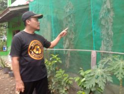 BUMDes Tunjung Seto Sulap Sampah Organik dan Anorganik Jadi Tabungan dan Magot