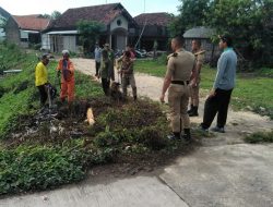 Proklim Desa Wates Undaan Galakkan Ruang Hijau