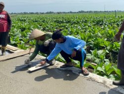 KKN Posko 126 UIN Walisongo Lakukan Pembangunan Lewat Program Betonisasi di Desa Sukodadi