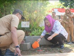 Wali Kota Semarang Dorong Penerapan Biopori dan Pengolahan Sampah Organik