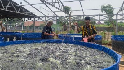 BUMDes Lestari Bangsri Kembangkan Budidaya Lele Sistem Bioflok