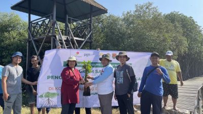 Ribuan Mangrove Ditanam di Pantai Desa Tluwuk Pati