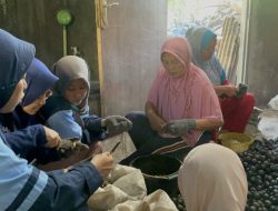 KKN UIN Walisongo Lakukan Kunjungan Industri Kolang-kaling di Dusun Tercel