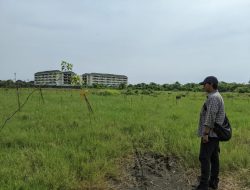 Ruang Terbuka Hijau Jepara Baru Capai 18,12 Persen, DLH Targetkan Peningkatan Lewat Penanaman Pohon