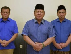 Pakar Politik: Dukungan Presiden Jadi Hal Baru pada Demokrasi Indonesia