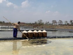 Musim Penghujan, Harga Garam Malah Anjlok