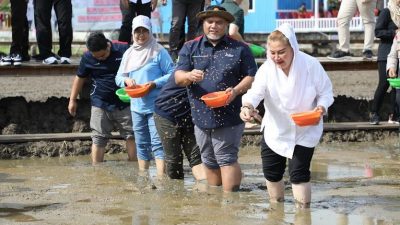 Pemkot Semarang dan PGN Cetak Sawah 20 Hektare Budidaya Padi Biosalin