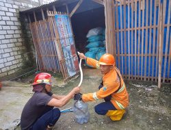 BPBD Rembang Imbau Warga Waspadai Ular Saat Musim Hujan