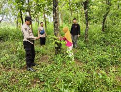 Pedagang Kopi di Jepara Nyaris Jadi Korban Pelecehan di Hutan Jati