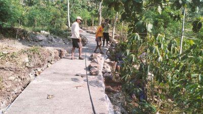 Pembangunan JUT Sebagai Solusi Peningkatan Akses Petani