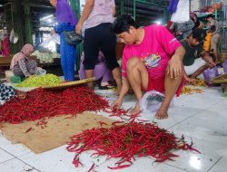 Harga Masih Tinggi, Cabai Busuk Laku Dijual