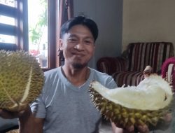 Durian Lokal Pemalang Selalu Punya Tempat Istimewa