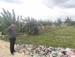 TPA Tanjungrejo Ditutup, Sampah Selesai di Desa Lebih Efektif dan Efisien