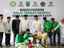 Berdayakan Mustahik, Baznas RI Luncurkan Balai Ternak di Jepara