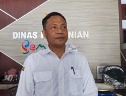 Jadi Daerah Program Pangan, Dispertan Pemalang Pastikan Stok Pupuk Aman