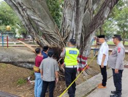 KRONOLOGI Pohon Tumbang Timpa Jamaah Sholat Idulfitri di Pemalang, Tewaskan 2 Orang!